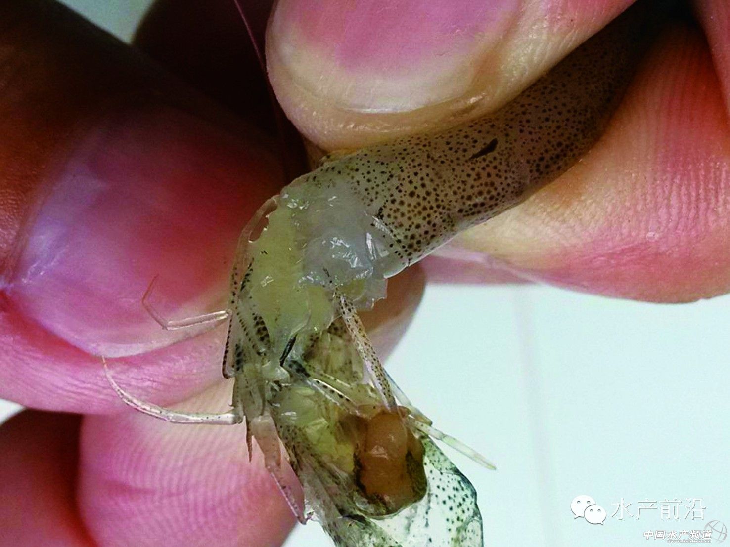 ���|2014���r������r��2015���ش�ʩ