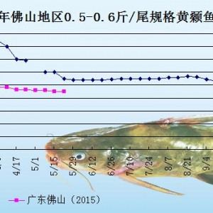 �S��~�r���܈��Ј���������  �����~�r��ƽ