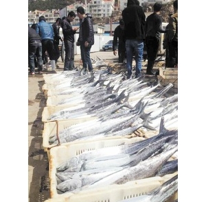 ɽ�|���u���ݝO��Ӌ�r���~ƫ���L�q�r �����؛���r�~