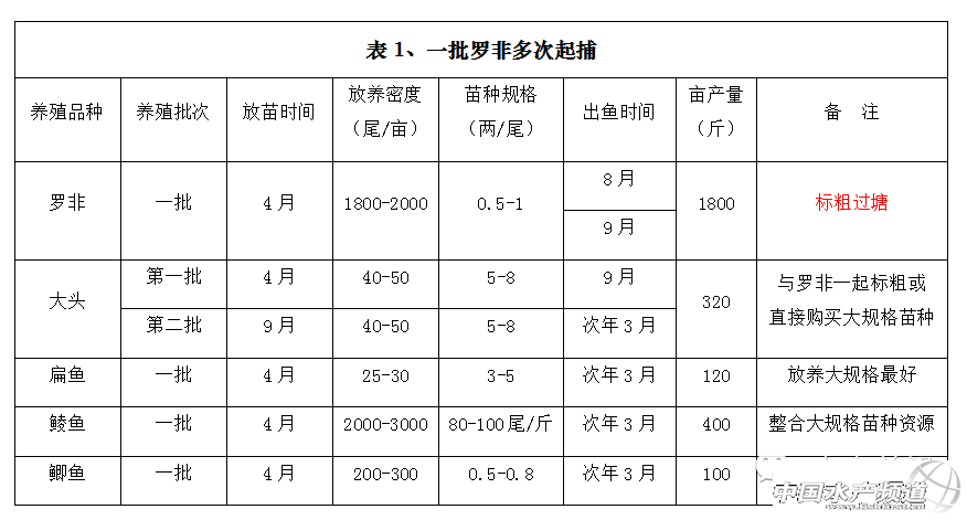 �_���~�̓r�����µ��A��ģʽ