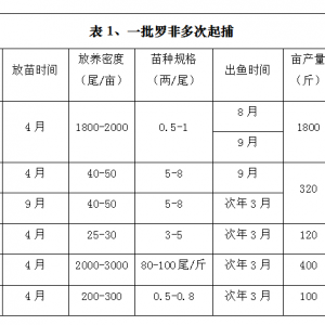 �_���~�̓r�����µ��A��ģʽ