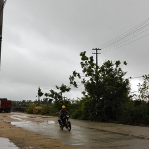 2015��V�����쌦�r�B(y��ng)ֳ����