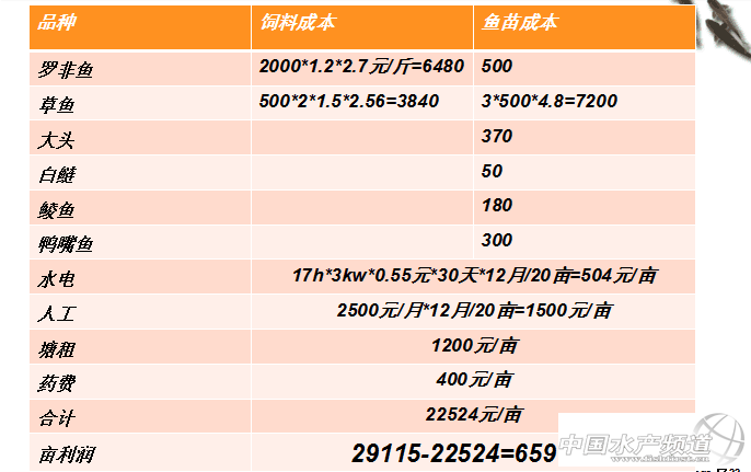 �A�ϸ����B�^���º����_���~�Bֳ�F���̓r�����Z��