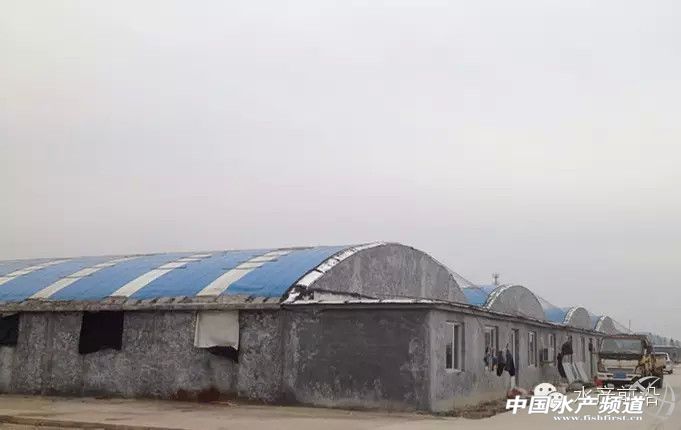 Մɽ�|������B�r��