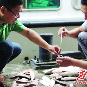 �_�O�D���O��æ���W(w��ng)����æ�O(ji��n)�y ���ң����~�V�|���Ȕ�(sh��)���^��