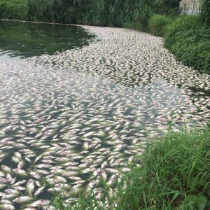 �������!�f���~�����ˮƯ