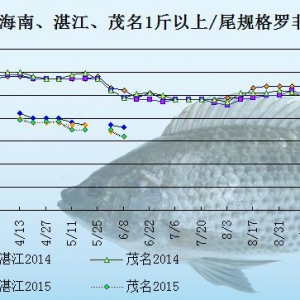 �_���~�r(ji��)���܈�(b��o)�����S��(k��)����ӆ����  �~�r(ji��)���m(x��)����