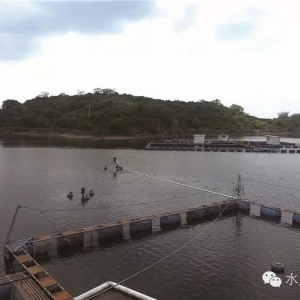 �V�|��ˮ��ˮ��(k��)�B(y��ng)ֳ�������I(y��)� �(zh��ng)֮��