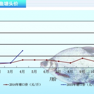 ���~��4�r�����ϝq������ˮ�aǰ�ء�2015��5�¿��Ј�څ��