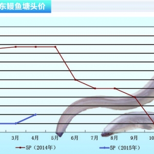 ���~��4�r��ƽ�������ϝq������ˮ�aǰ�ء�2015��5�¿��Ј�څ��