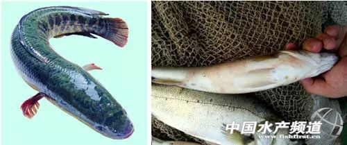 2015�긣�������|�؅^�~������ؽ��h