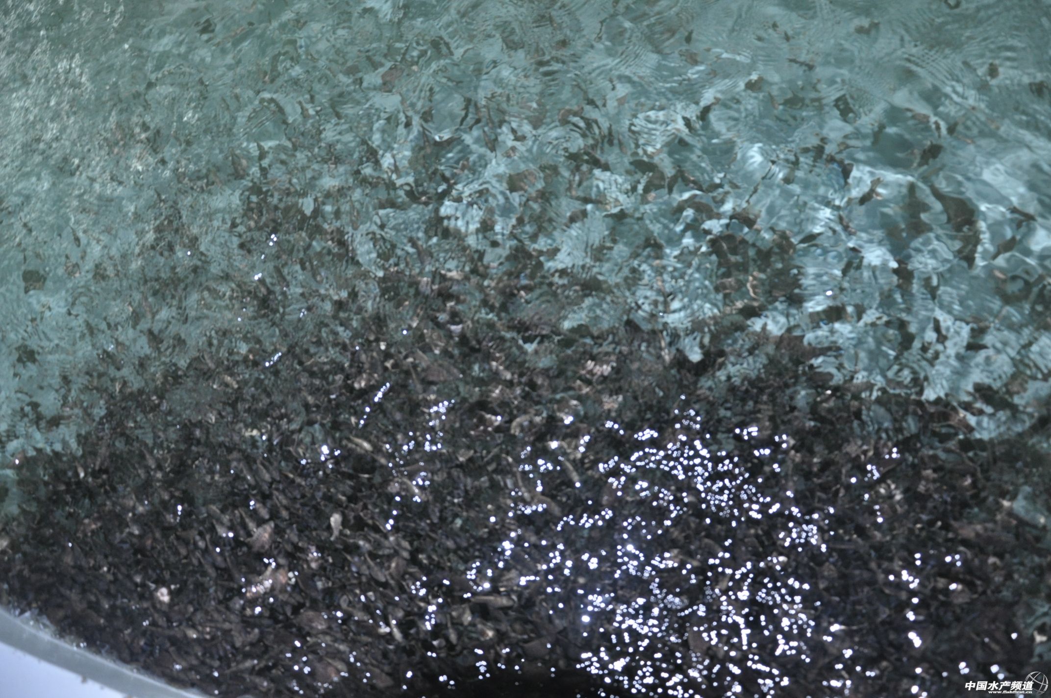 ����ˮ�a������ꑽ��� ����֮�~�ɾ����~���B