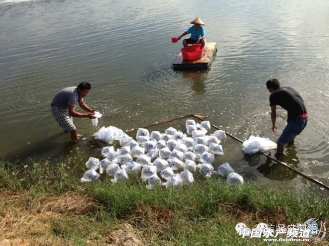 �ĘI�������Ҍ���ǰ�B�r�I�Ď��c������