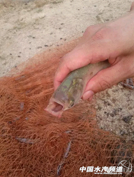 ���܅^�ֳ��@Щ�~��ʲô���^����