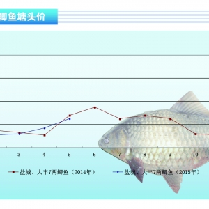 �a�~�r���ϝq��һ�һ�F���w��Ѫ������̧�^������ˮ�aǰ�ء�2015��6�¿��Ј�څ��