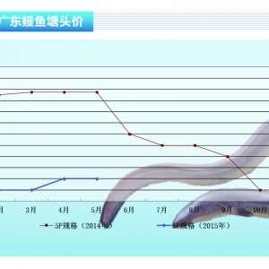 ���~�r�����Нq �ձ������ٴ���r������ˮ�aǰ�ء�2015��6�¿��Ј�څ��