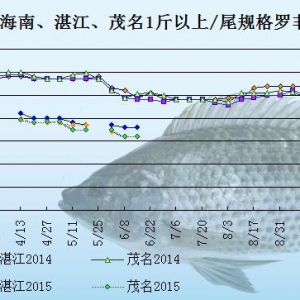 �_���~�r(ji��)���܈�(b��o)�����Q(m��o)�����y��  �~�r(ji��)���ݵ͹�