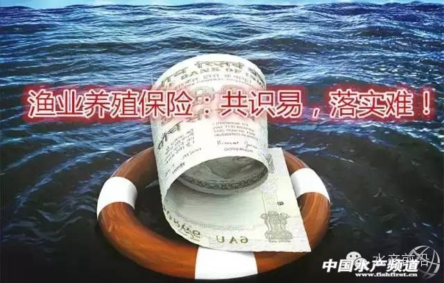 �O�I�Bֳ���U���x���ж��h