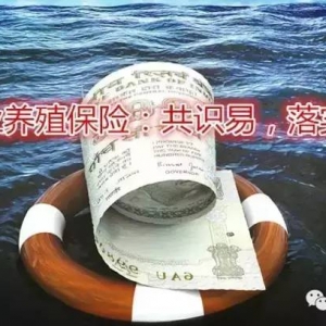 �O�I�Bֳ���U���x���ж��h