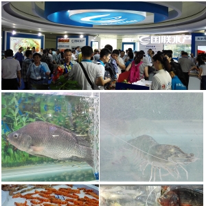 2015�Ї����Hˮ�a���[�����c��I֮��ˮ�a