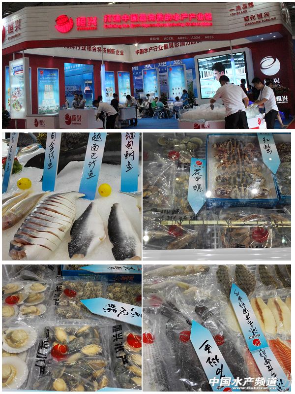 2015�Ї����H�O�I���[�����c��I֮���d���F