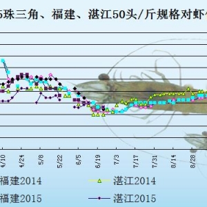 ���r��߅�r�������N������  �r�r���f�ֵ�