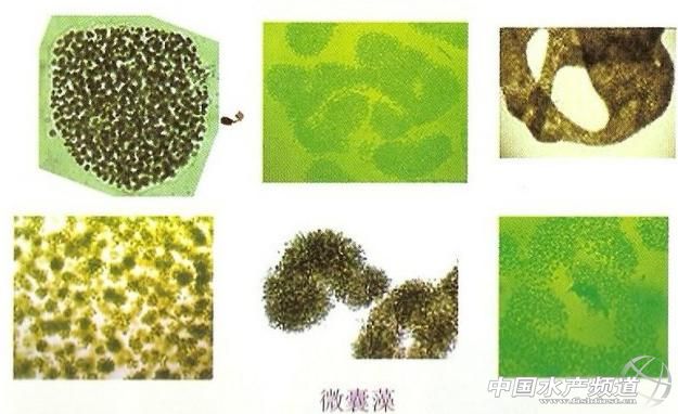 ���Bֳ����Մ�����{����`�^