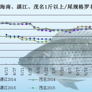 �_���~�r(ji��)���܈�(b��o)����������  �Ј�(ch��ng)�������