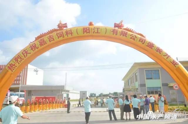 ������������@һ�c���μ��򌢼ӿ��M܊�Ї�ˮ�a��