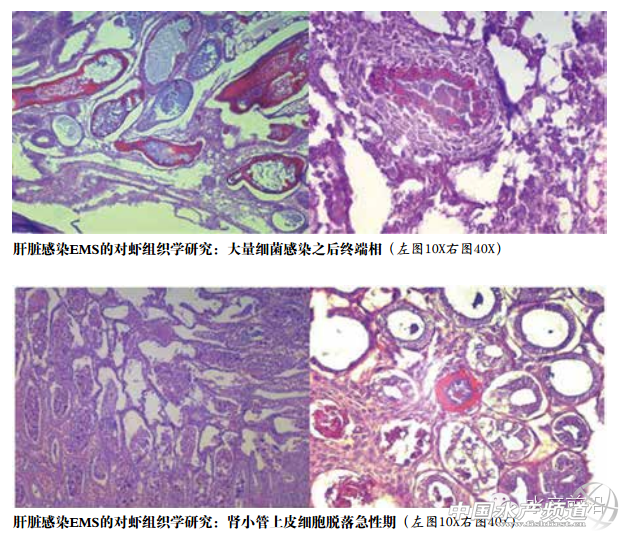 ����һ��°l�F����ʹ���r�B������ߵ�85%