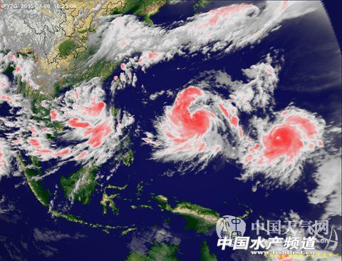 ɏ��8�ջ���}�� ���_�L�L�r�g���溱Ҋ