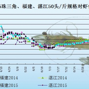 ���r�r���܈�һ���r������p  ���w�r�rڅ�q