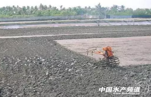 �������|��ô���������@�����師����