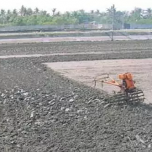 �������|��ô���ƣ����@�����師����