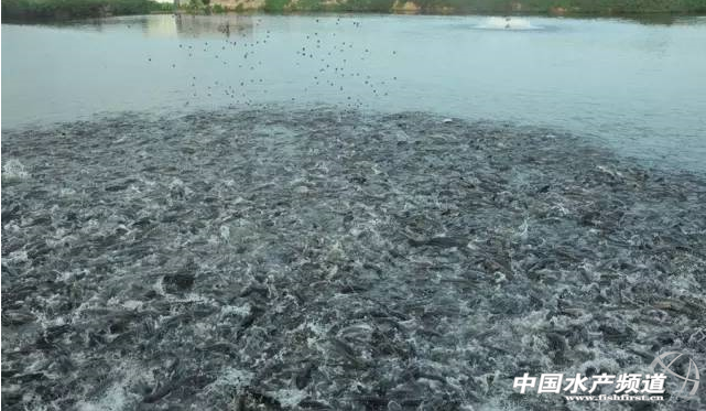 혵����~�������_��ɣ���ϏS���԰l�����Ј�