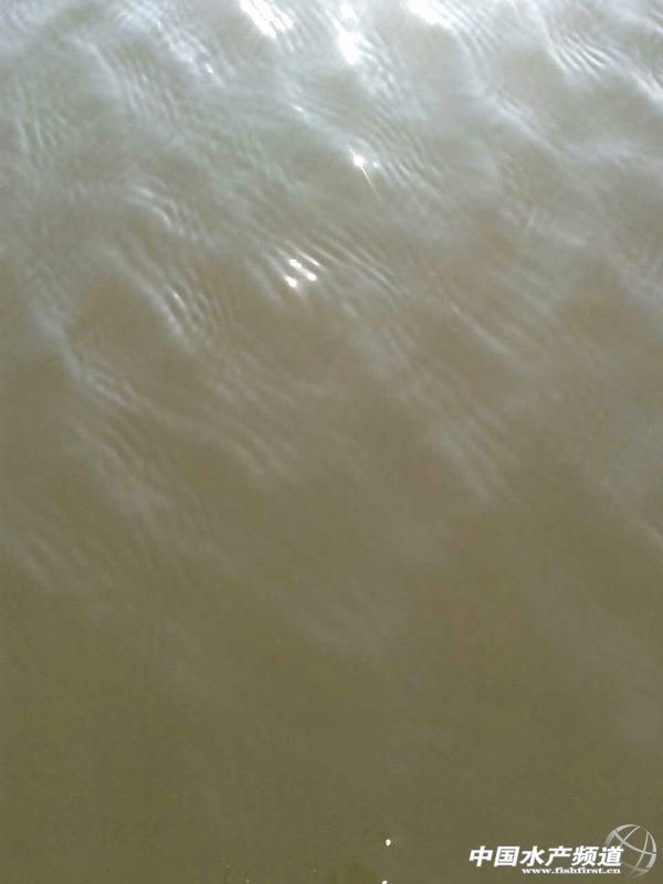 ���؅^�~�r���B��ˮ�ʲ�������ô�k��