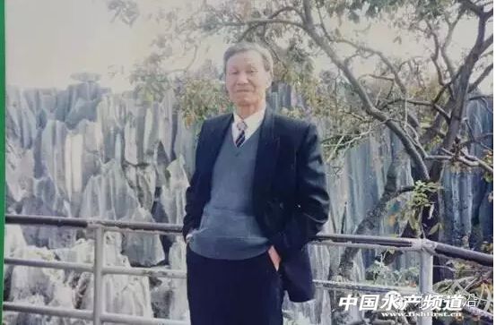 ����ɭ���е���۽ܣ�ϡ���������ĩ�L��