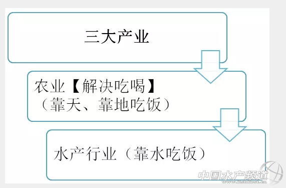 �������Z�� ����Kˮ�a���й�˾�lչ����