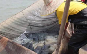 �����I����ڏ��s�Ĳ��~�Ј�������