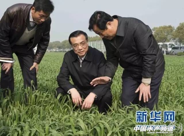 ��ˏ����ù��I�ķ�ʽ�lչ�F���r�I