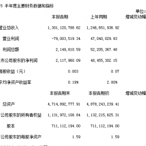 ��Ӎu�Ј��󣺠I�I����-267.95%