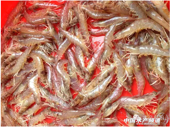 ͨ�������ҵ��˄Ӈ����r���Ј�������