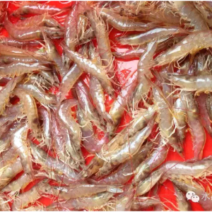 ͨ�������ҵ��˄Ӈ����r���Ј�������