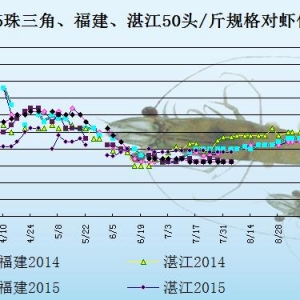 ���r��߅�r������(y��ng)���p��  �����r�r�S��(w��n)