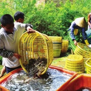 ���ϡ��V���ȵ��r����Ű �a���E��