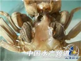 ����؅^��з�Bֳ���M�롰ˮ�T�ӡ��l���߷���