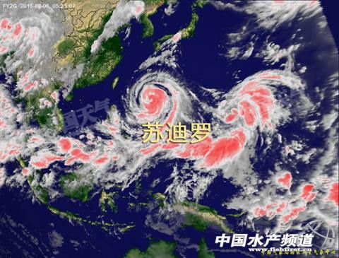 ���_�L���K���_�������u�_�����ꑸ���