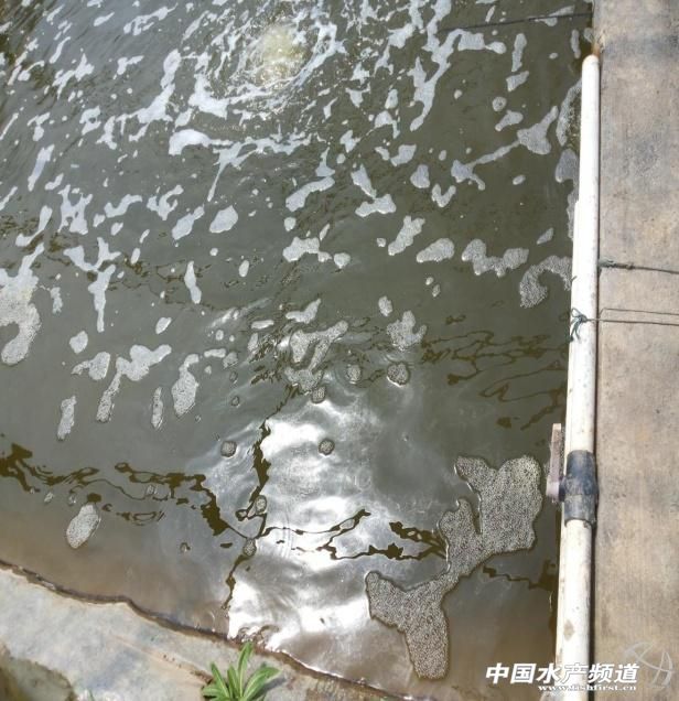 �l������С���B�r�еđ���