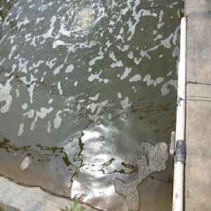 �l������С���B�r�еđ���