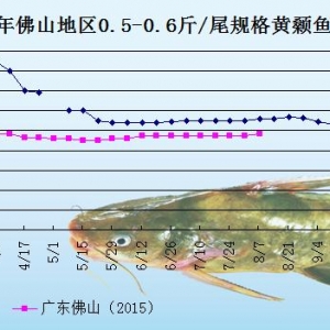 �S��~�r���܈󣺴������p��  �~�r���@�ϝq